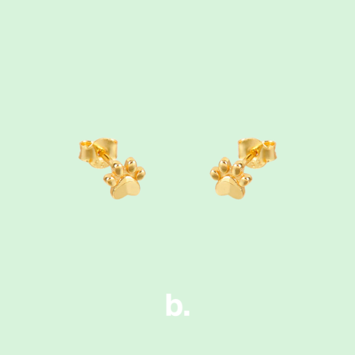 Pendientes Huella de Perro